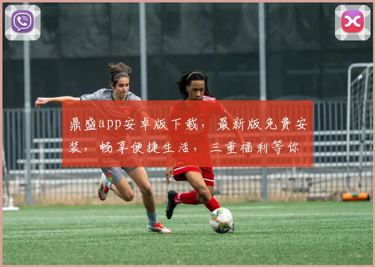 鼎盛app安卓版下载，最新版免费安装，畅享便捷生活，三重福利等你来，不容错过