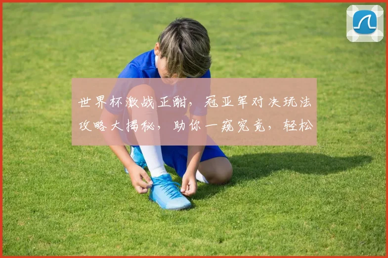 世界杯激战正酣，冠亚军对决玩法攻略大揭秘，助你一窥究竟，轻松锁定胜利