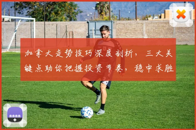 加拿大走势技巧深度剖析，三大关键点助你把握投资节奏，稳中求胜，三步走策略分享